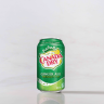 Canada Dry Ginger Ale (355 ml)