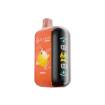 ELFBAR GH20K 20000 Puffs - Punch Ice