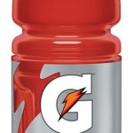 Gatorade Sports Drink - Fruit Punch (591 ml)