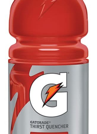 Gatorade Sports Drink - Fruit Punch (591 ml)