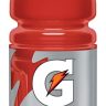 Gatorade Sports Drink - Fruit Punch (591 ml)